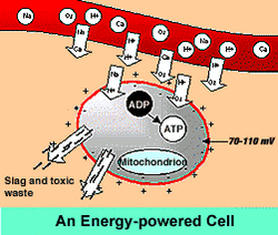 Magnetic Pulsers- Do they work?'