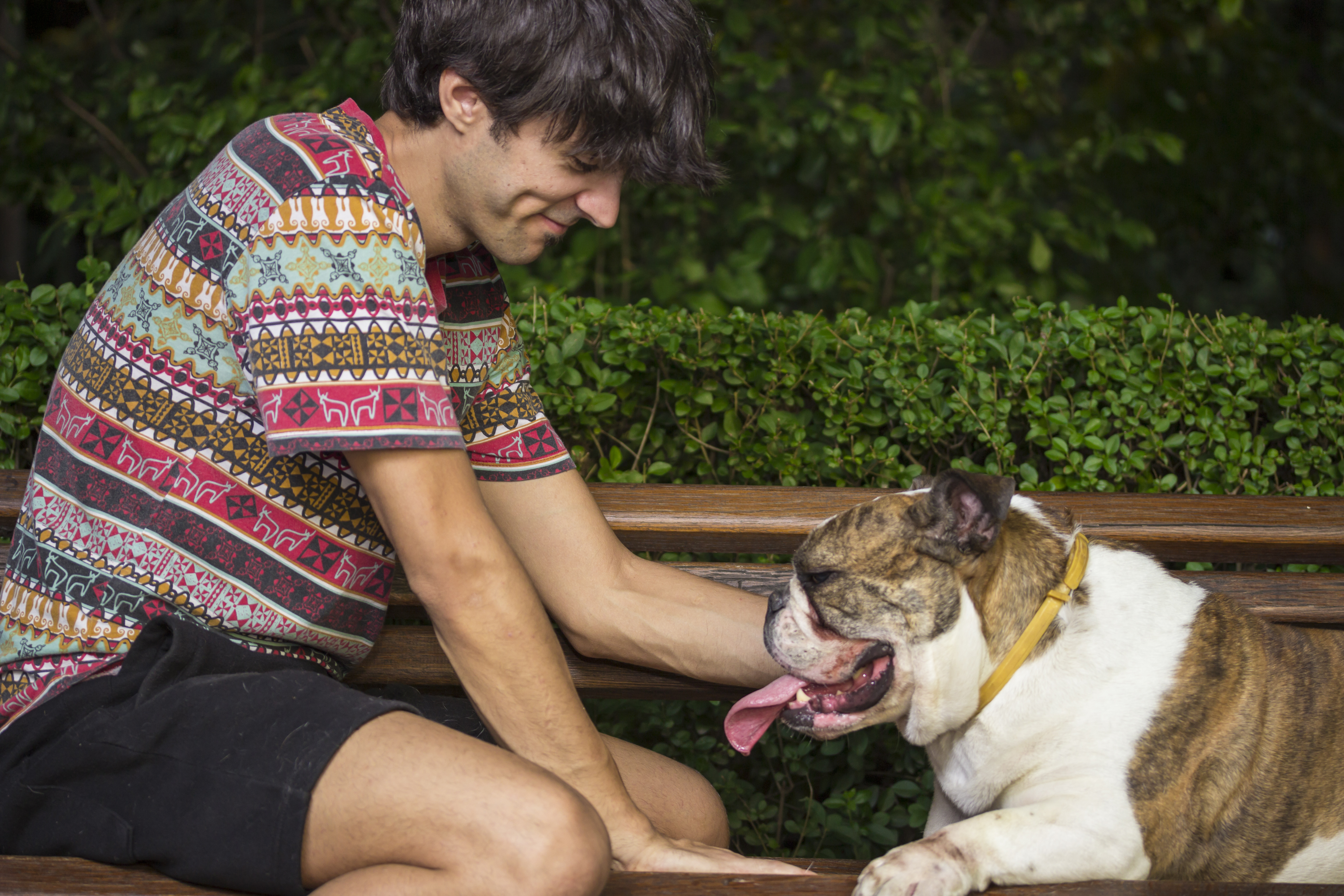 Best Pet Trackers