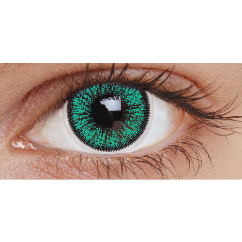 TOSCA 2 TONE'