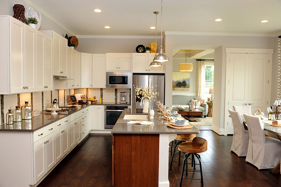 Modern, Luxurious Homes