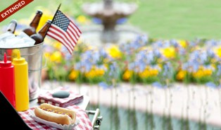 Memorial Day Discount Scheme of Green Smoke'