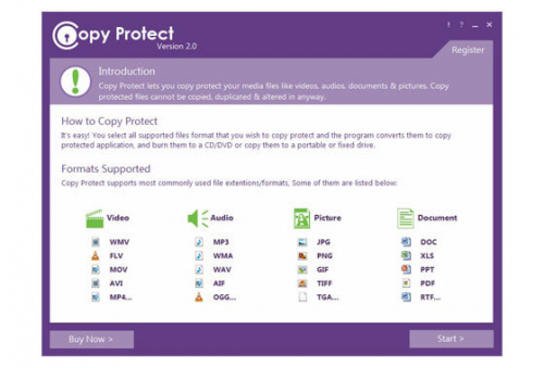 copy protect software'