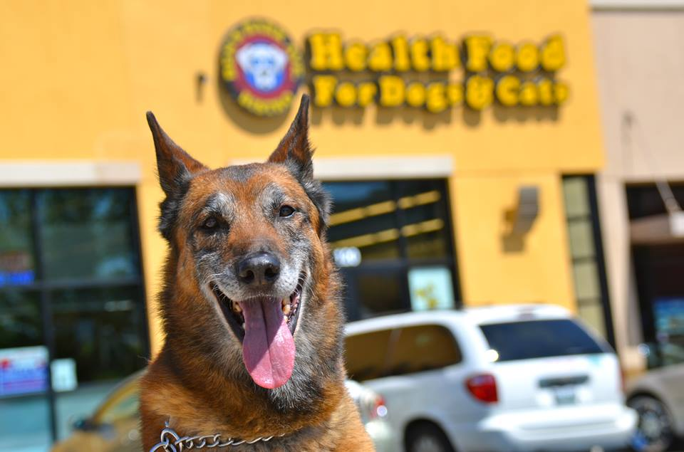 Ben's Barketplace, Inc.