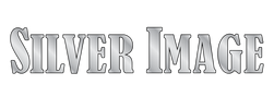 Silver Image Limo