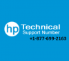 HP Printer Support Phone Number'