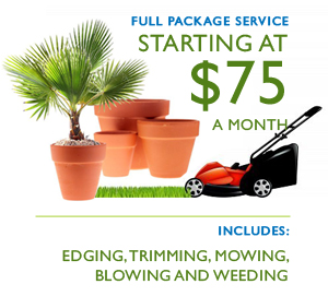 Truly Green Landscaping: Providing Professional Lawn Care An'