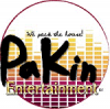 Company Logo For Pakin Entertainment LLC'