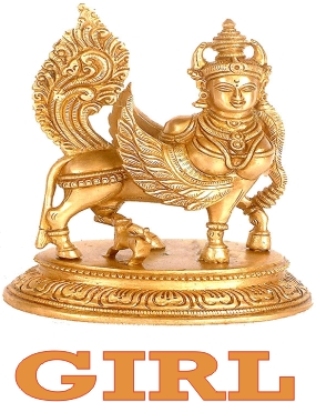 Golden Investment Reseaarch Private Ltd'