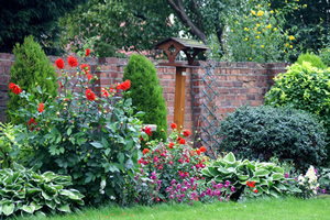 SpectroHomesNMore.info