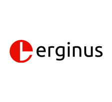 Company Logo For Erginus Inc.'