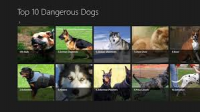 top 10 most dangerous dogs