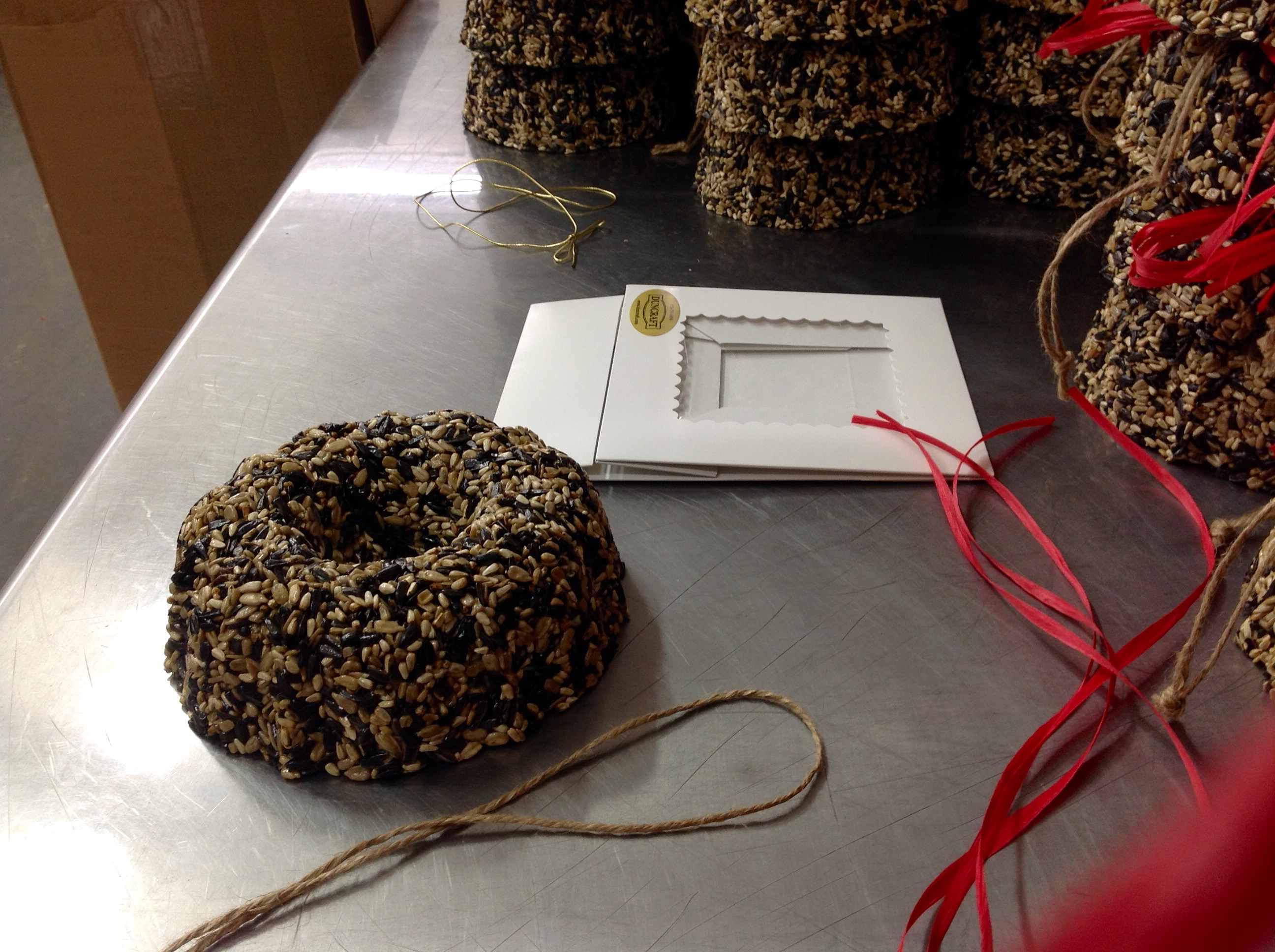 Finished Bird Seed Wreath