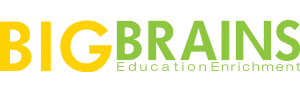 Company Logo For Big Brains Education'
