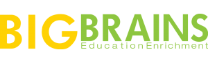 Big Brains Education