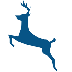 Storagebuck'