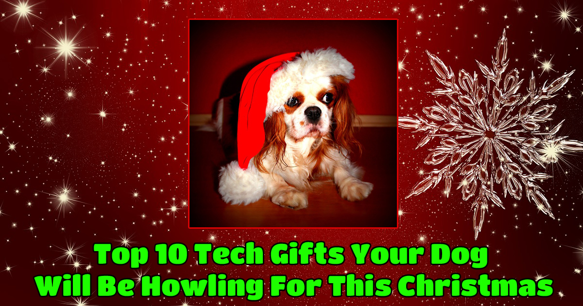 facebookdoggiftsfinal_.jpg'