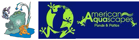 American Aquascapes'