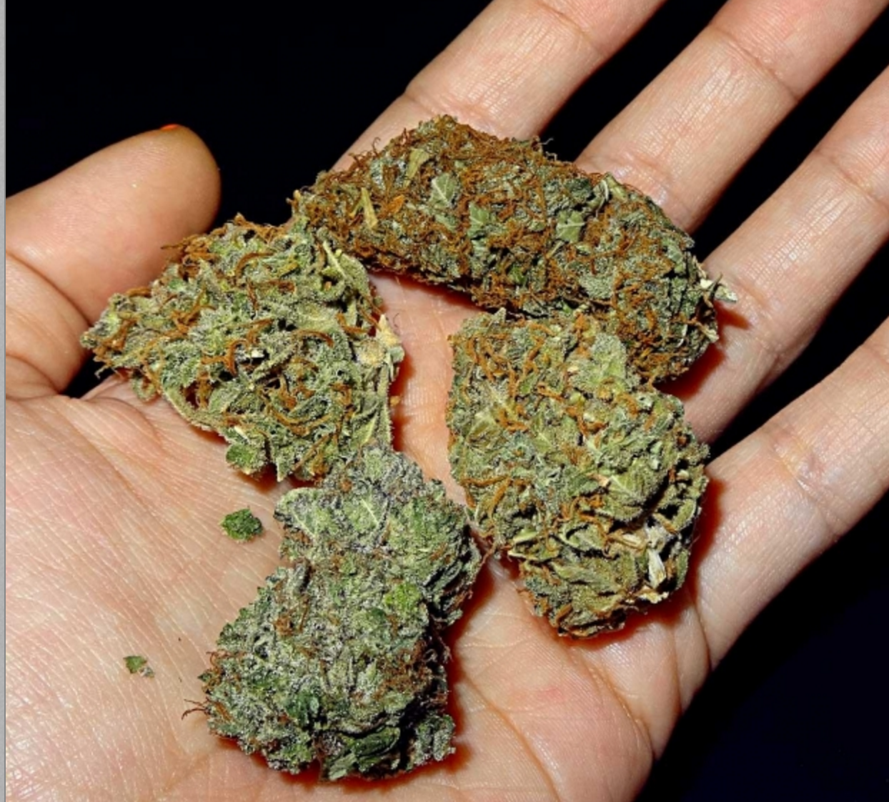 Best 420 Grinder'