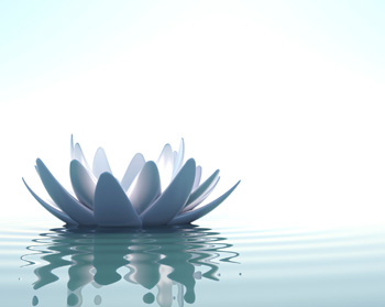 No Fear Dentistry Lotus