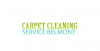 Company Logo For Carpet Cleaning Belmont'