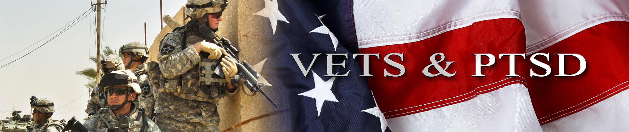 VetsAndPTSD.com Logo
