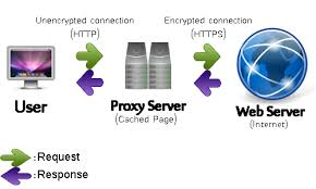 dedicated private proxies