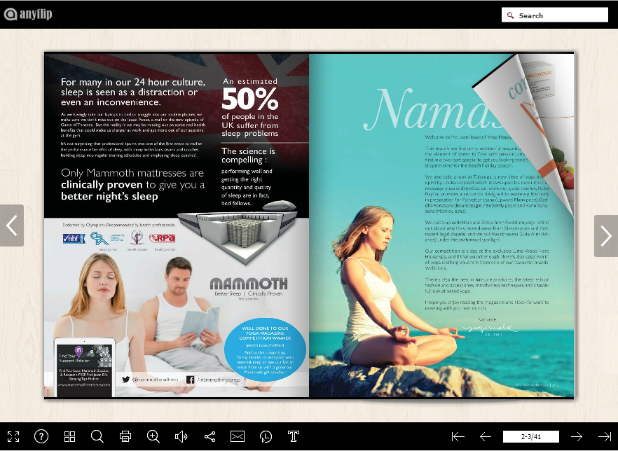 PDF flipbook