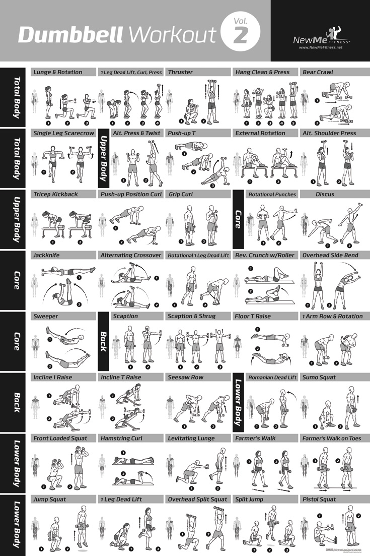 Dumbbell Exercises Chart Printable Pdf