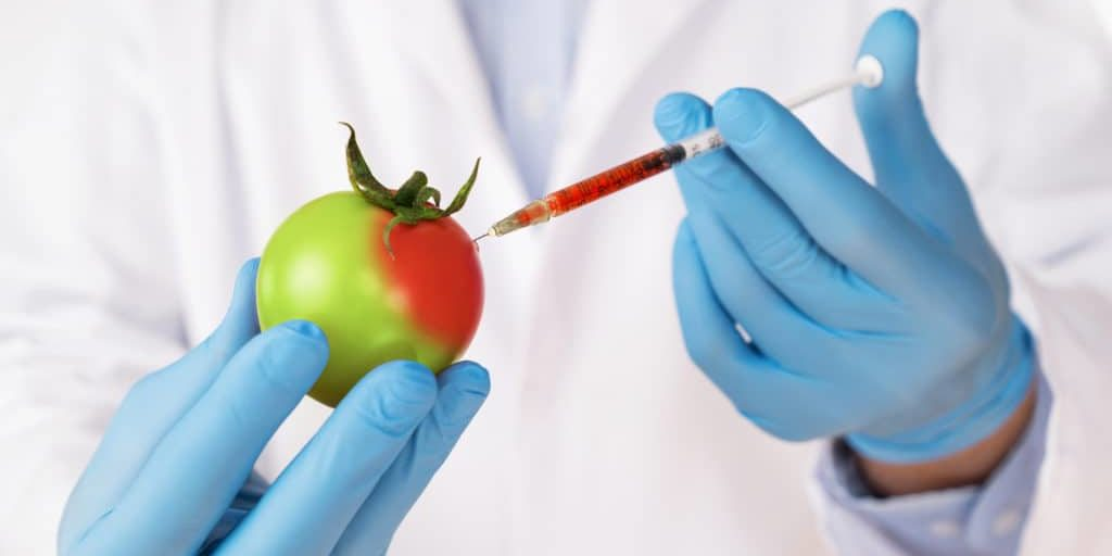 Food Biotechnology Market Industry Analysis, Trends, Size, Share and