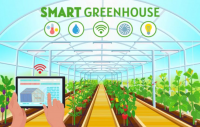 Smart Agriculture Smart Greenhouse Market
