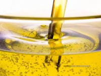 Used Cooking Oil (UCO) Market